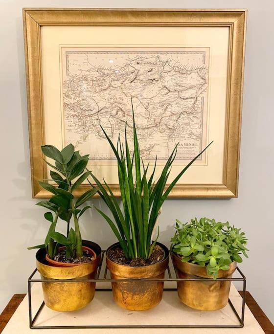 Old Riga Designer Luxury Apartment 외부 사진